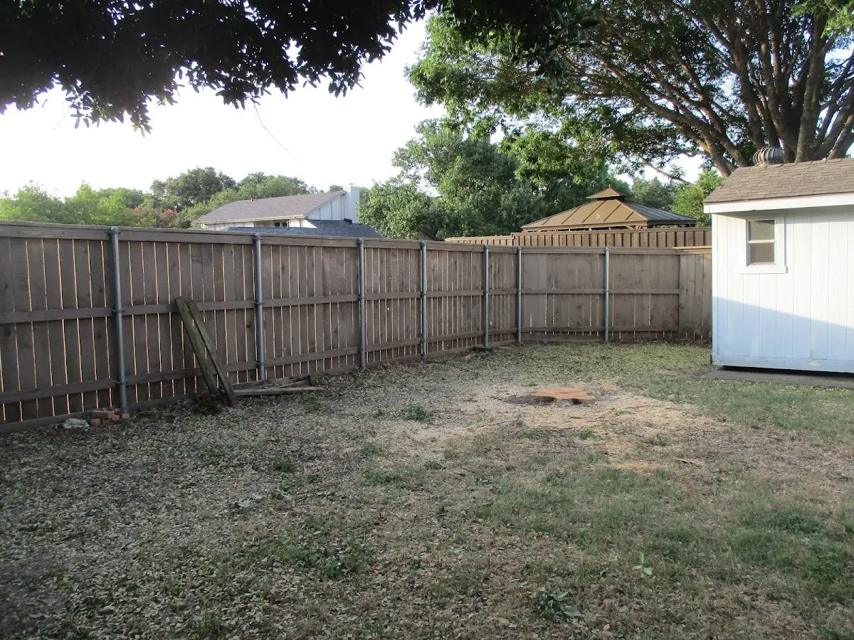 Cleared yard after professional tree removal in Hopedale